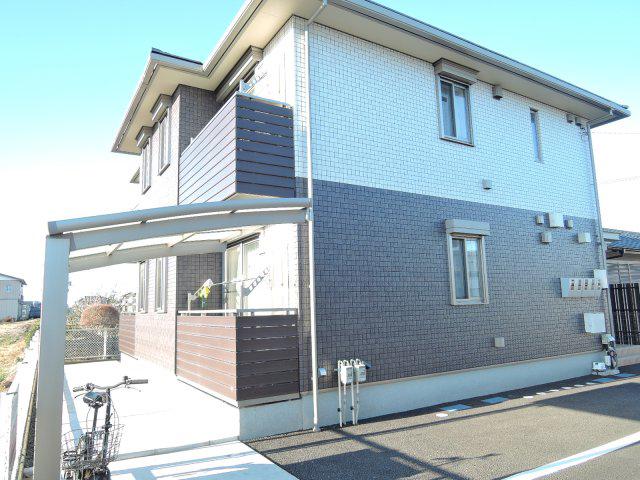 クリサンサマム