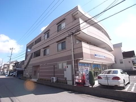 ネオグレース