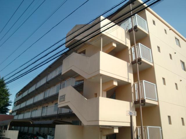 グリーン56