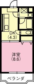 プレサージュ(1DK/3階)の間取り写真