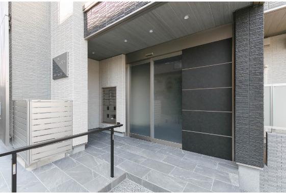OWL FOREST