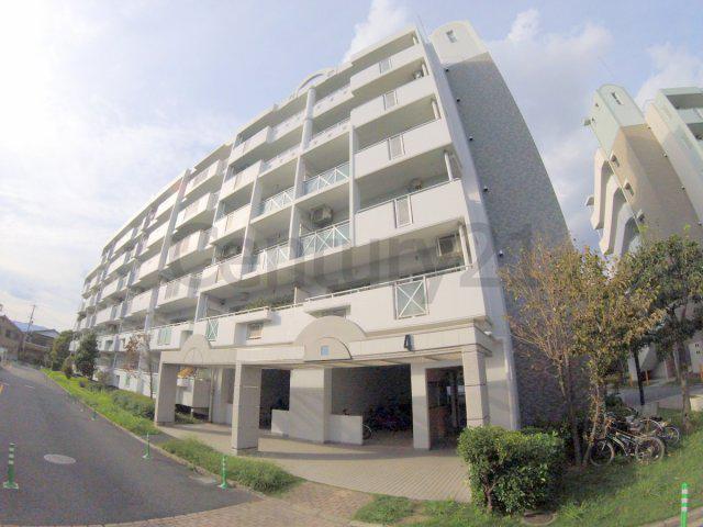 アルビス寺本4号棟(3LDK/3階)