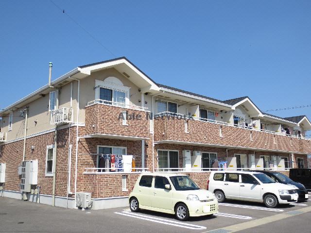 セレブリティD