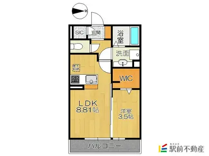 アモリールII(1LDK/1階)の間取り写真