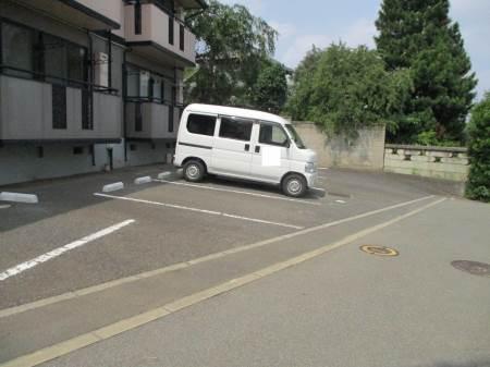 フェニックス