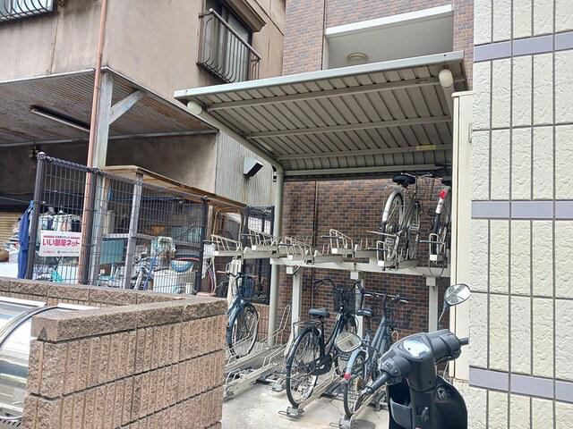 ヴィーダ ローザ