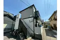 フラットコート