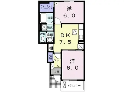 ベルフォーレ本郷(2DK/1階)の間取り写真
