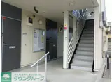 レオネクストさざんか