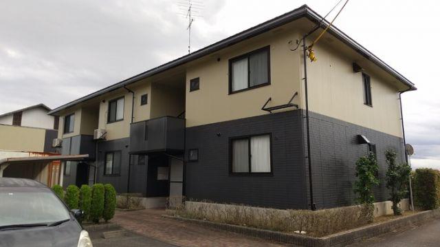 ARCADIA MAKI B