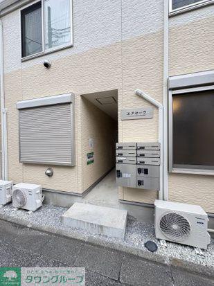 エヌセーラ