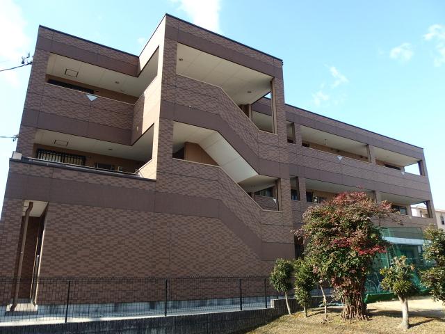 ブルーサンズ ロフティー