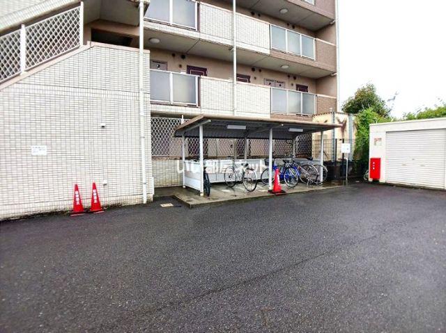 ラフィーネシャラ