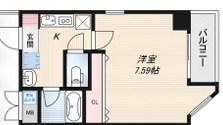 ラフォンテ十三(1K/8階)の間取り写真