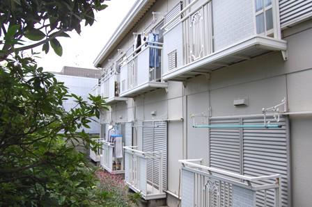 アジェリーナ