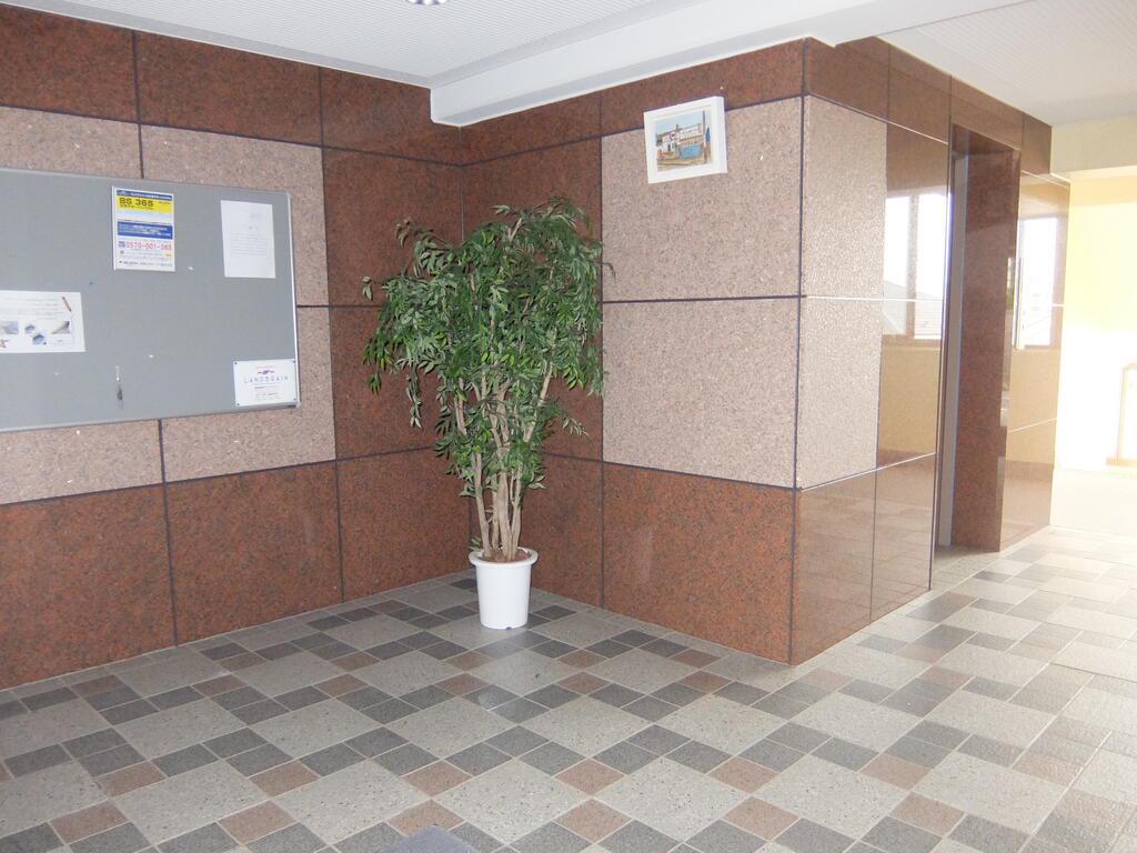 ヒルトップワレリ