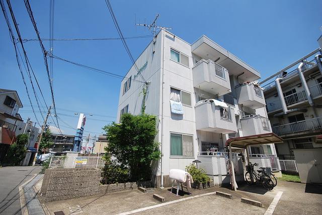 グリーンマンション