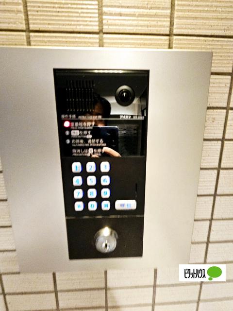アルデールトモ北堀江