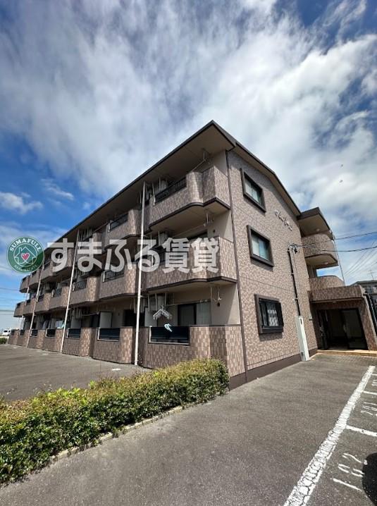 シーガル