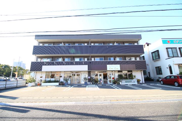 セレーナ沖浜
