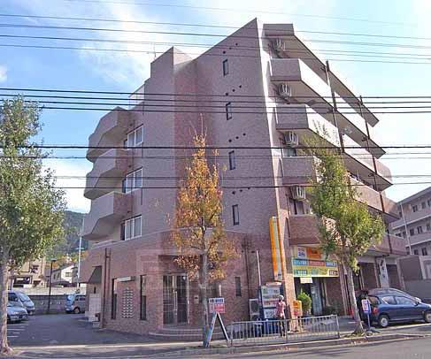 コスモスフローラ醍醐