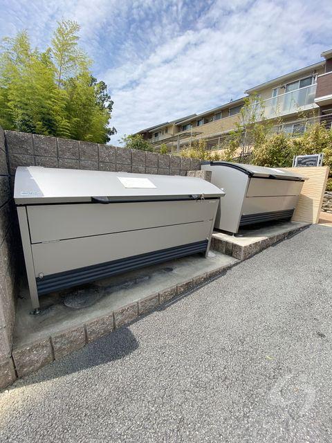 オースターアベリア
