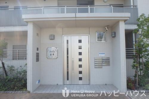 ステラ若草