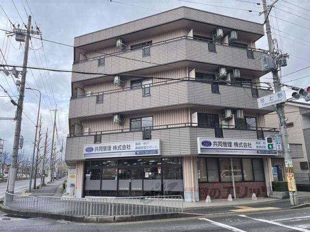 コモド清水