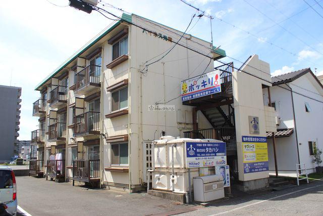 ハイネス光南