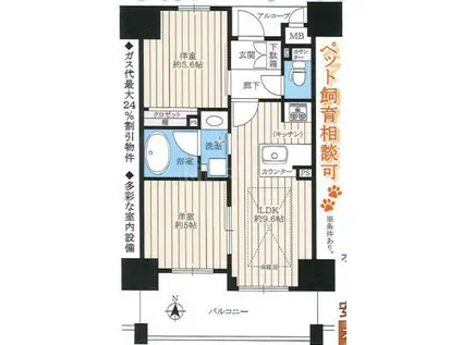 エステムエグゼ心斎橋(1SLDK/14階)の間取り写真