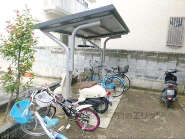 コスモス