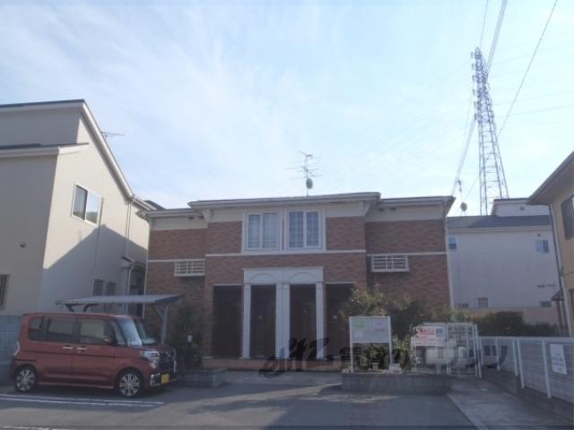 コスモス