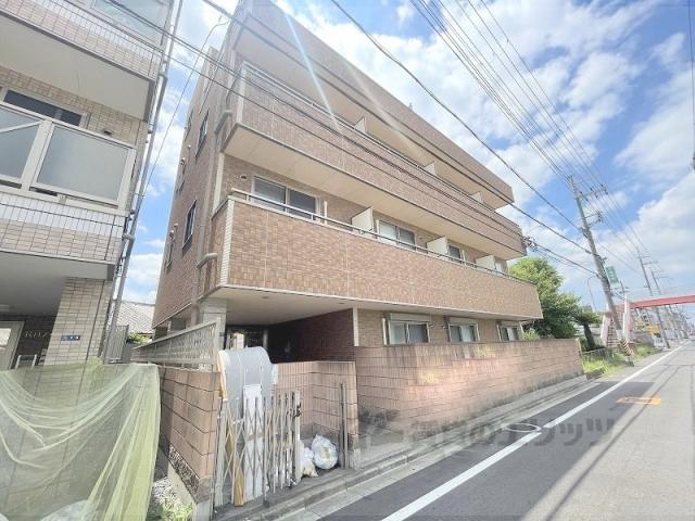 セレブ小若江