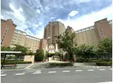 ザ・レジデンス芦屋スイート マリーナテラス