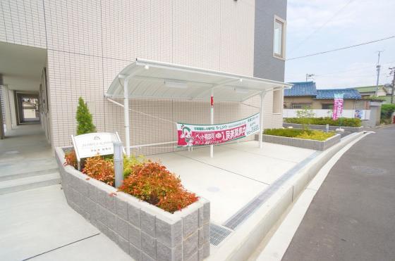 アビタ カモリ