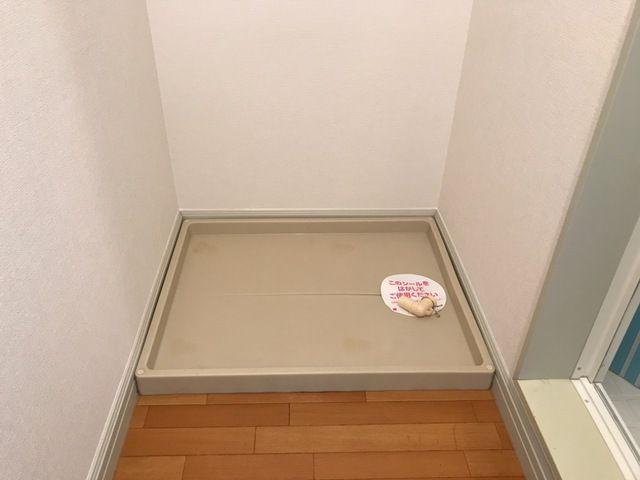 サンシティ