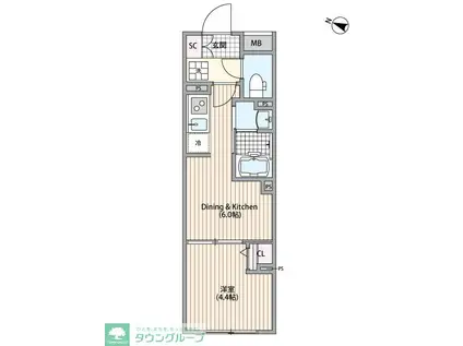 GRANPASEO中野III(1DK/4階)の間取り写真