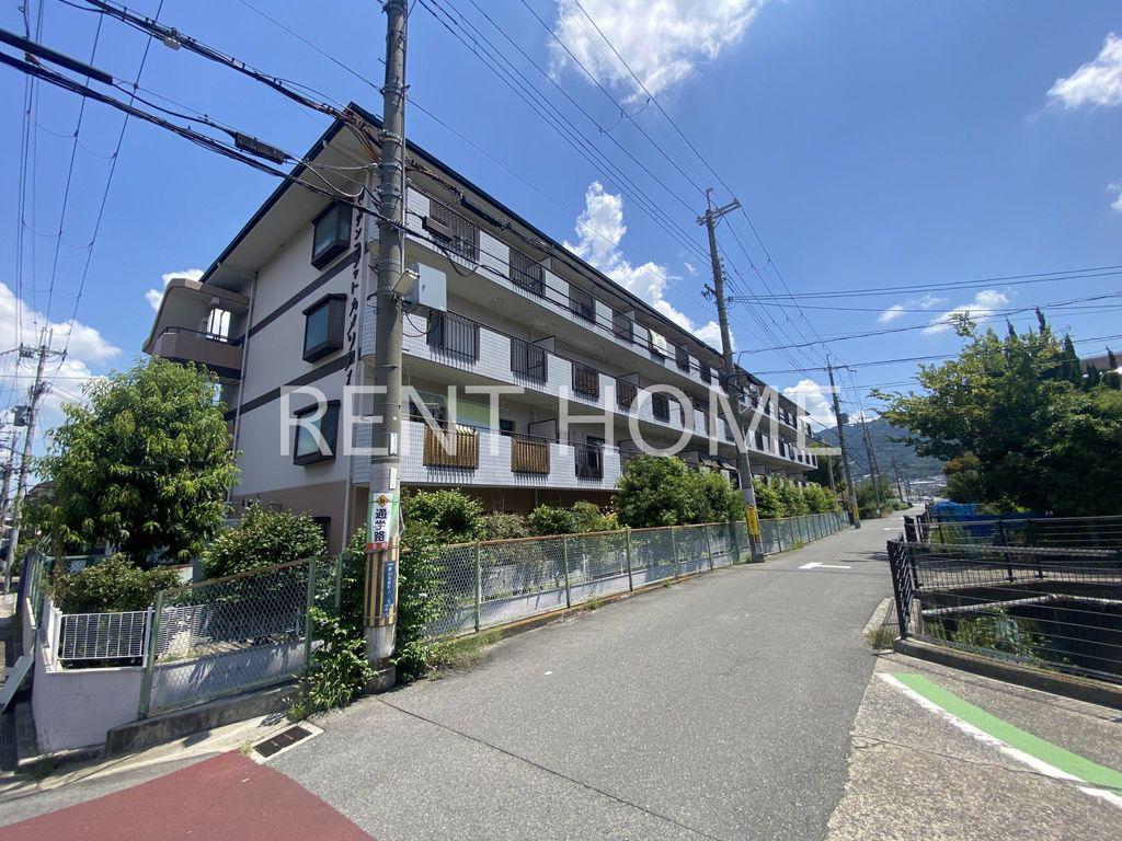 ガーデンフラットカメリア