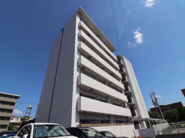 サウス アルカディア