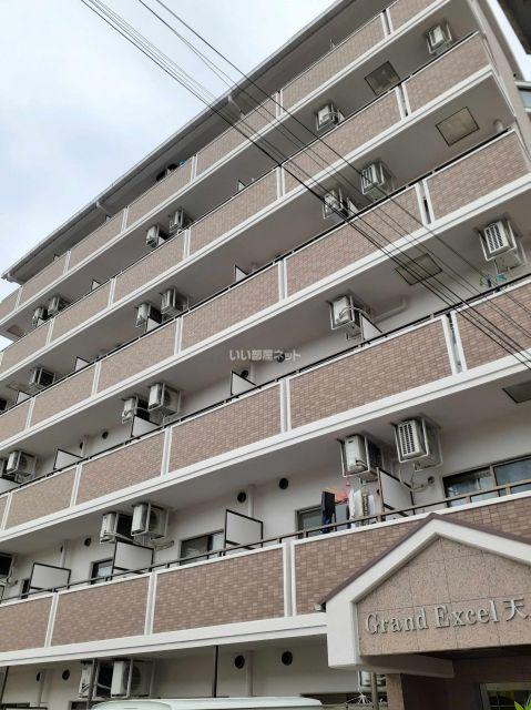 GRAND EXCEL 天美