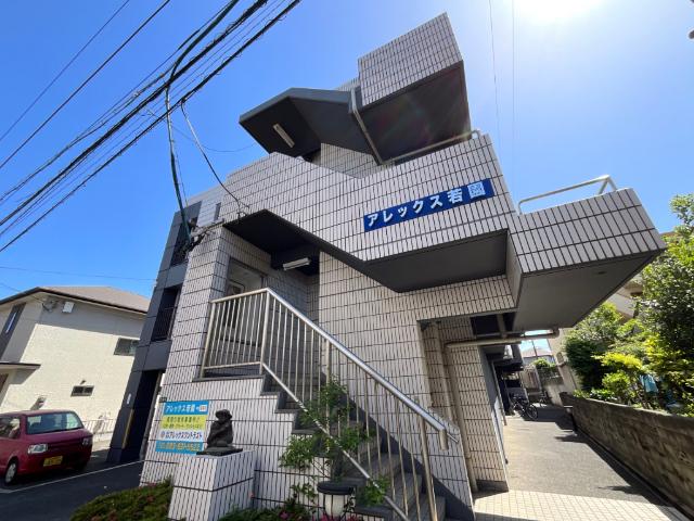 アレックス若園