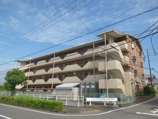 ルイボステーI