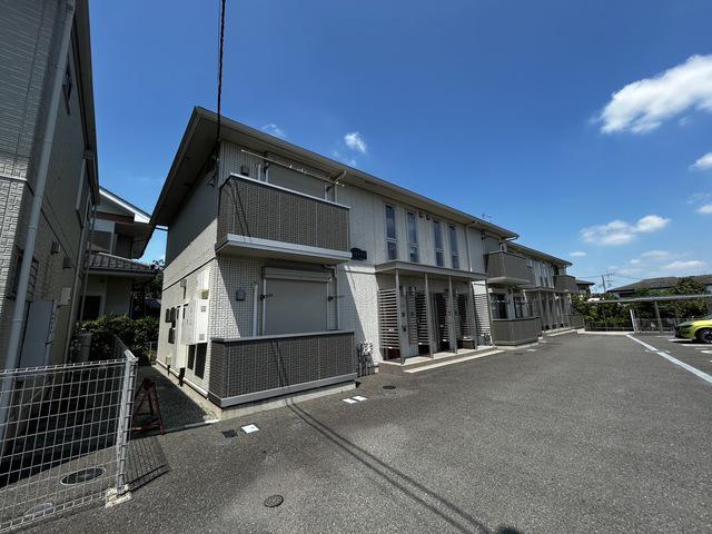 ハイツルピナス