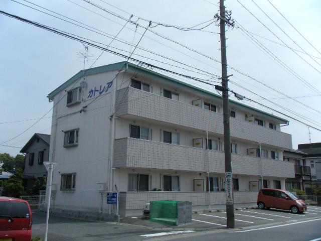 カトレア