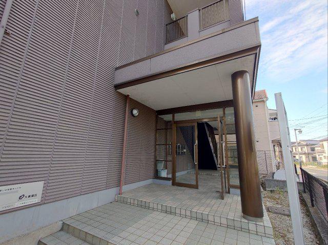 コモドステラ