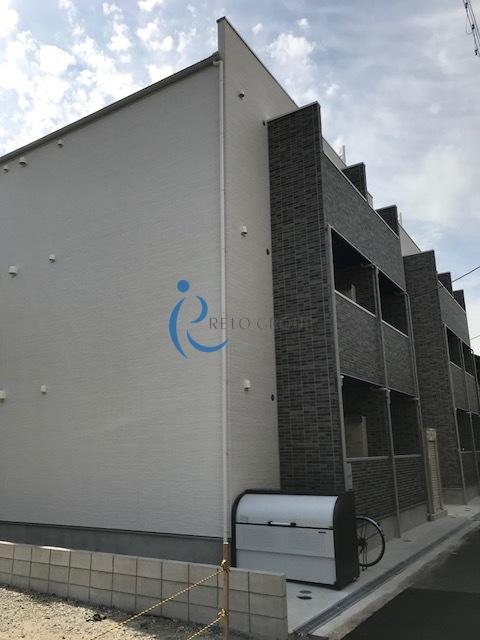 ライフ・アンス