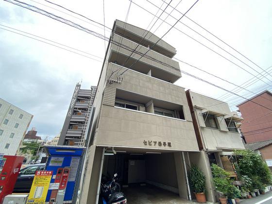 セピア西平塚(1K/4階)