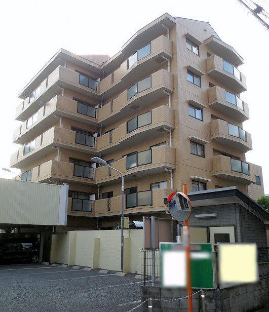 エクセレント常盤 1匹可 P有