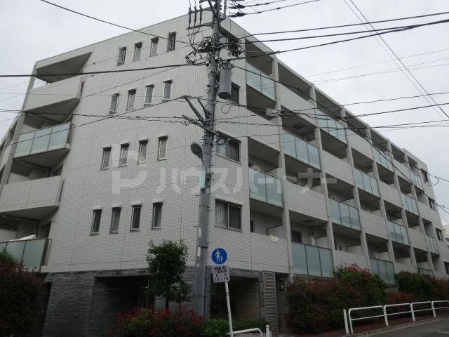 レヴィ―ガ大山