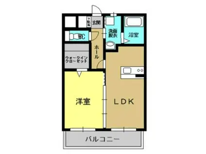 グレイスボヌール(1LDK/1階)の間取り写真